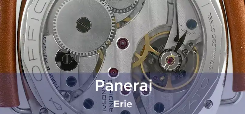 Panerai Erie