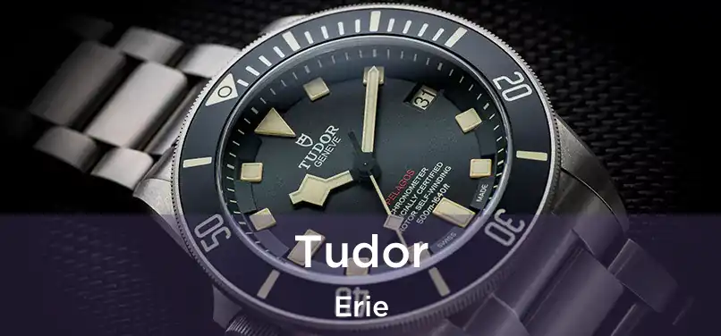 Tudor Erie