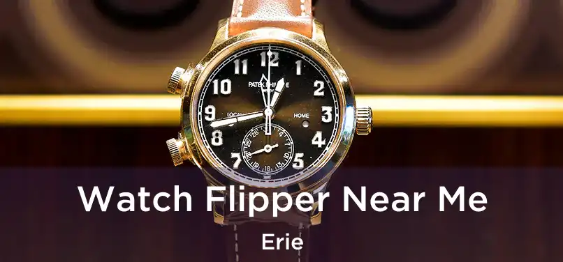 Watch Flipper Near Me Erie